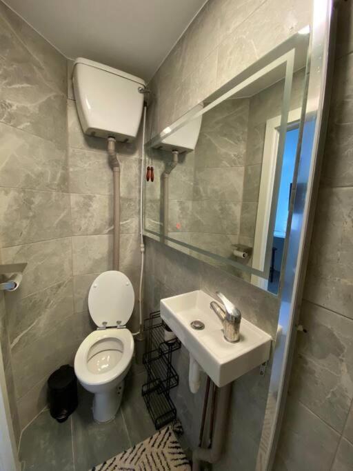 One Bedroom Putney Village Flat London Bagian luar foto