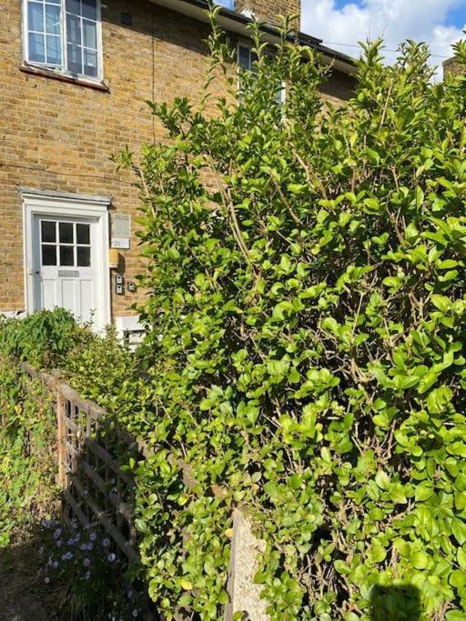 One Bedroom Putney Village Flat London Bagian luar foto