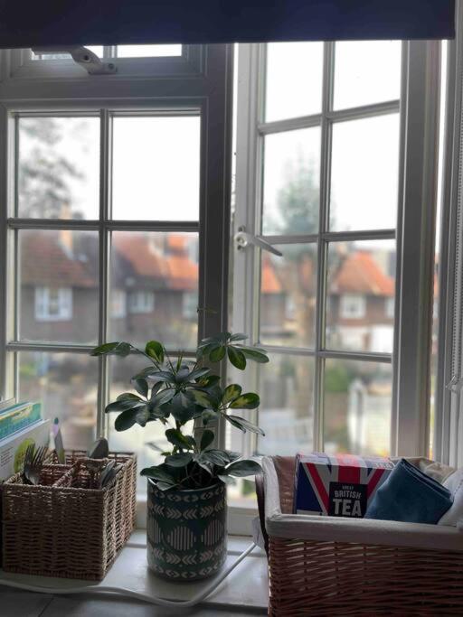 One Bedroom Putney Village Flat London Bagian luar foto